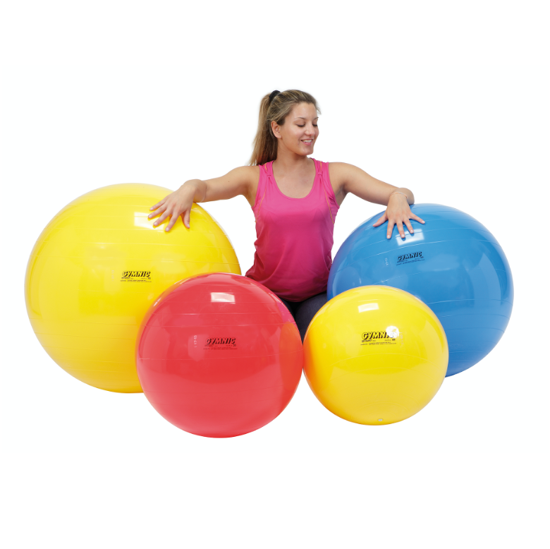 Gymnic / Pilates Ball / Exercise Ball
