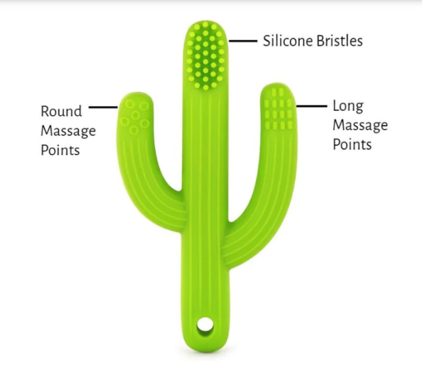 Chews Green Cactus Toothbrush Teether